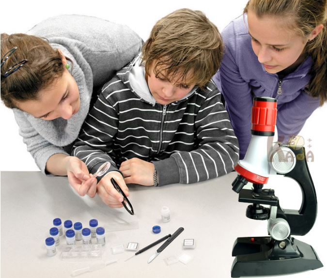 Купить детский микроскоп для ребёнка: дешевый, но настоящий 